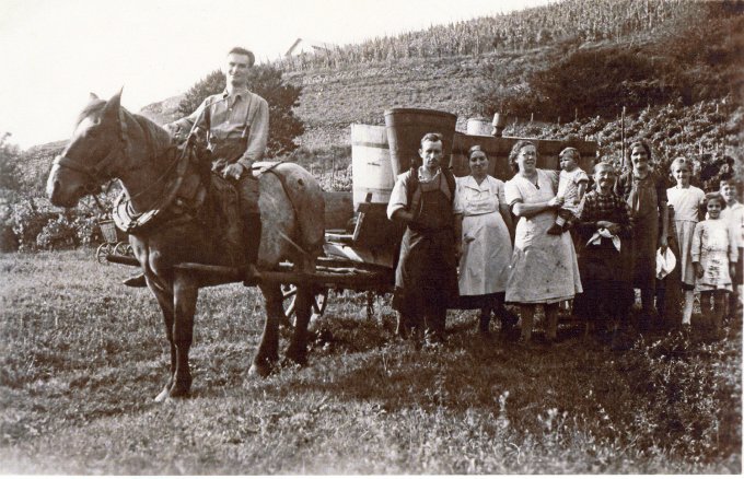 14 - Des vendanges en 1942